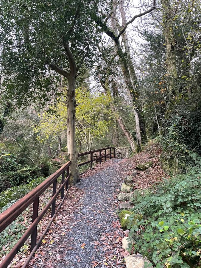 Snowdonia Holidays Caravan Hire - Aberdunant Park - 111 Silver Birch Porthmadog Eksteriør bilde
