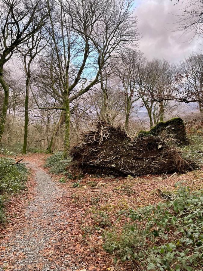 Snowdonia Holidays Caravan Hire - Aberdunant Park - 111 Silver Birch Porthmadog Eksteriør bilde